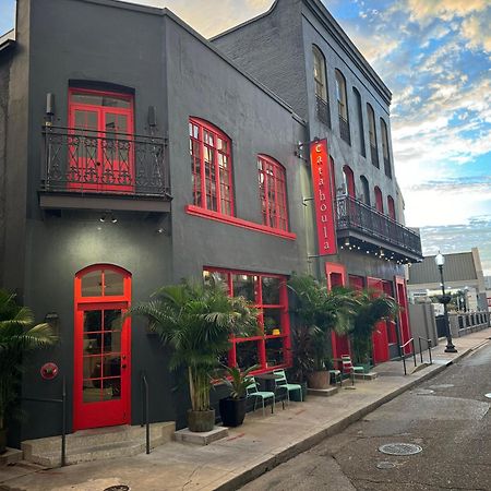 Catahoula Hotel ニューオーリンズ エクステリア 写真